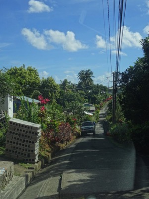Driving the narrow roads of Dominica
